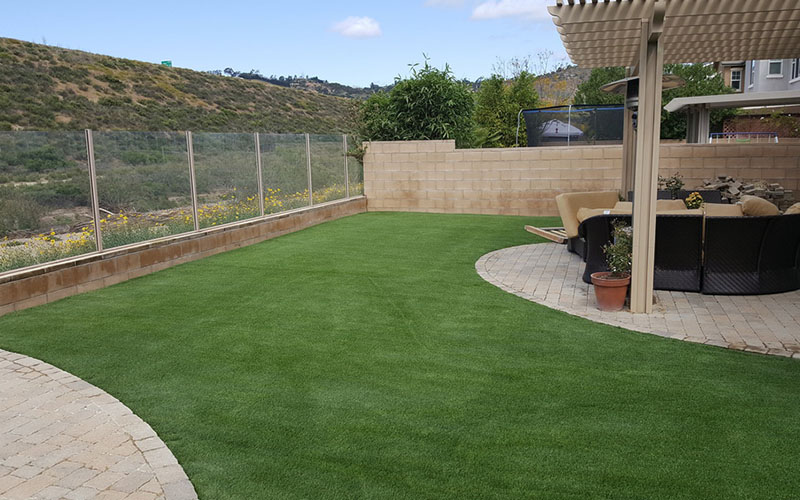 Landscaped Rear Yard Setting With Grass