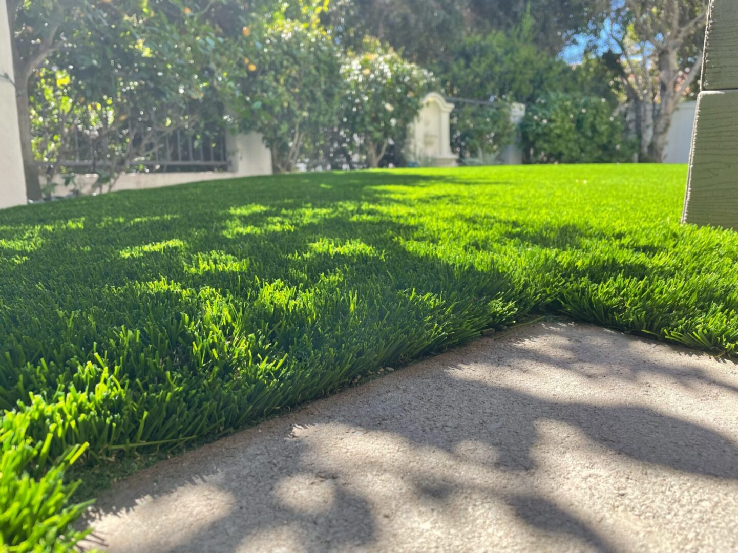 Trees Shadow on Green Grass Lawn